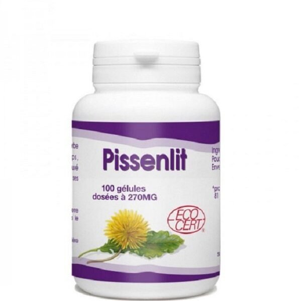 Gph Diffusion Pissenlit 100 Gélules
