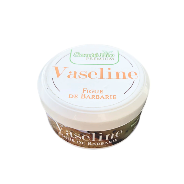 Sante Bio Vaseline Figue de Barbarie 120ml
